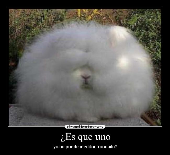 ¿Es que uno - ya no puede meditar tranquilo?