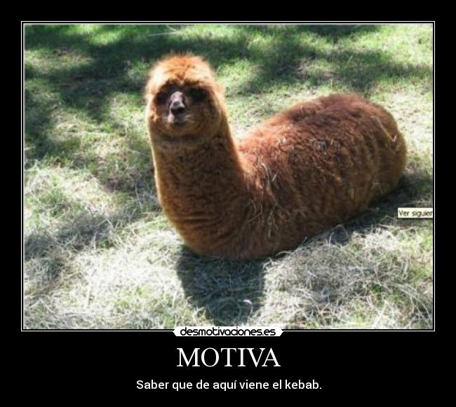 MOTIVA - Saber que de aquí viene el kebab.