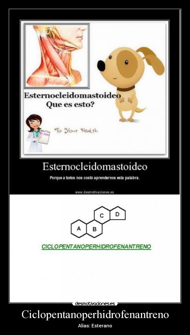 carteles ciclopentanoperhidrofenantreno estarano esteroides biologia colesterol desmotivaciones