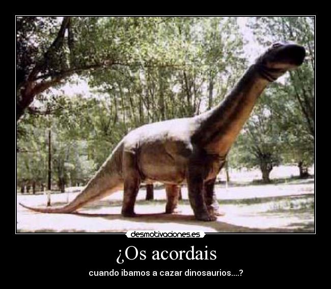 ¿Os acordais -
