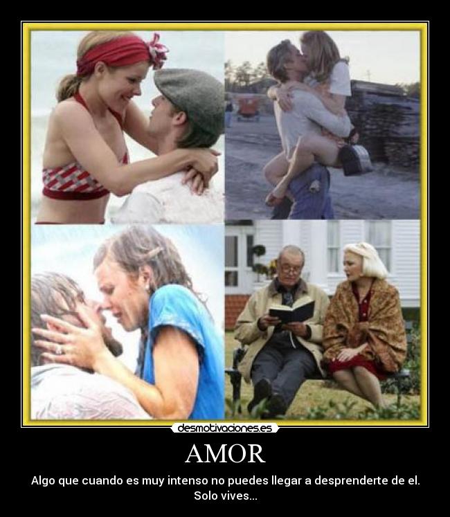 AMOR -