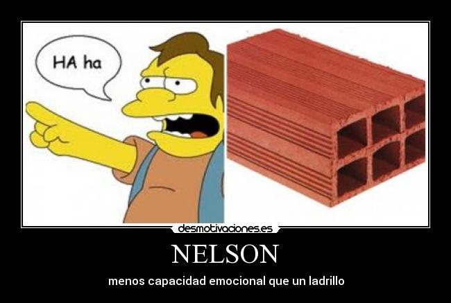NELSON - menos capacidad emocional que un ladrillo