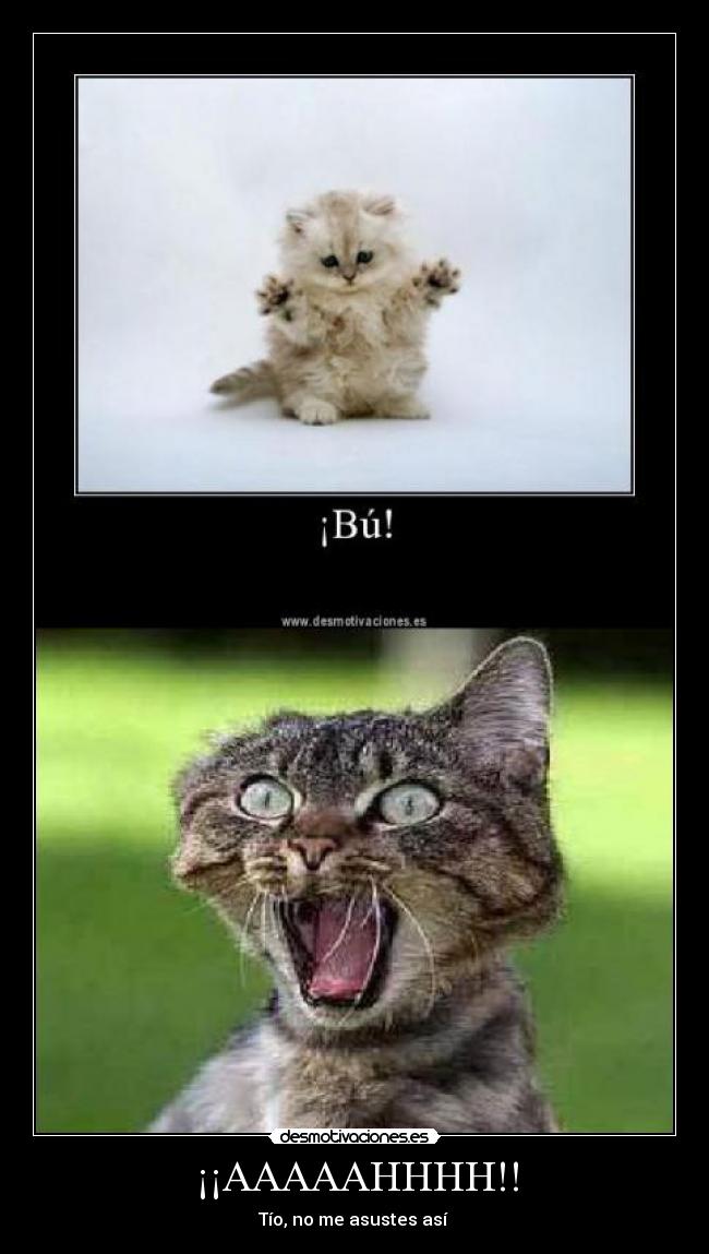 ¡¡AAAAAHHHH!! -