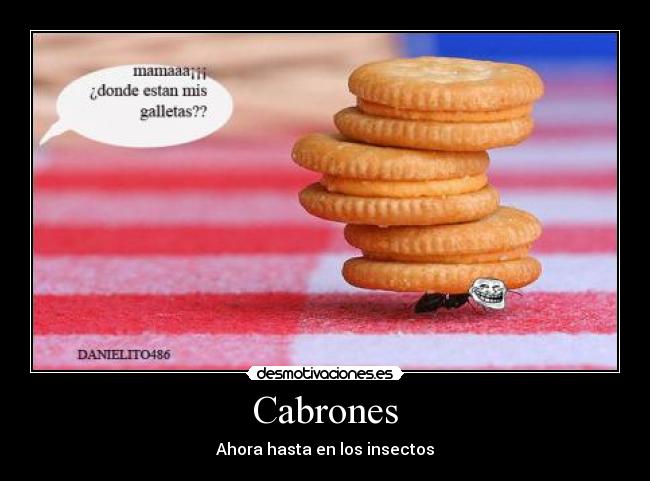 Cabrones - Ahora hasta en los insectos