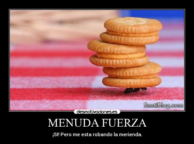 MENUDA FUERZA - 