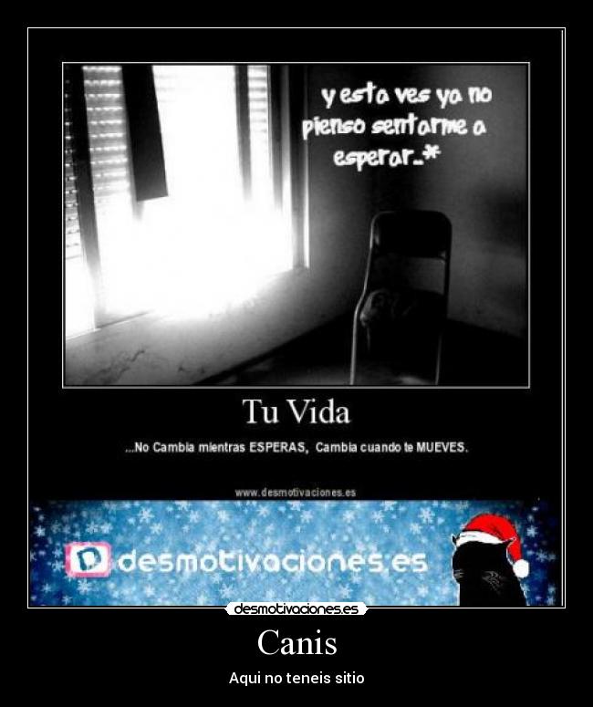 Canis - Aqui no teneis sitio