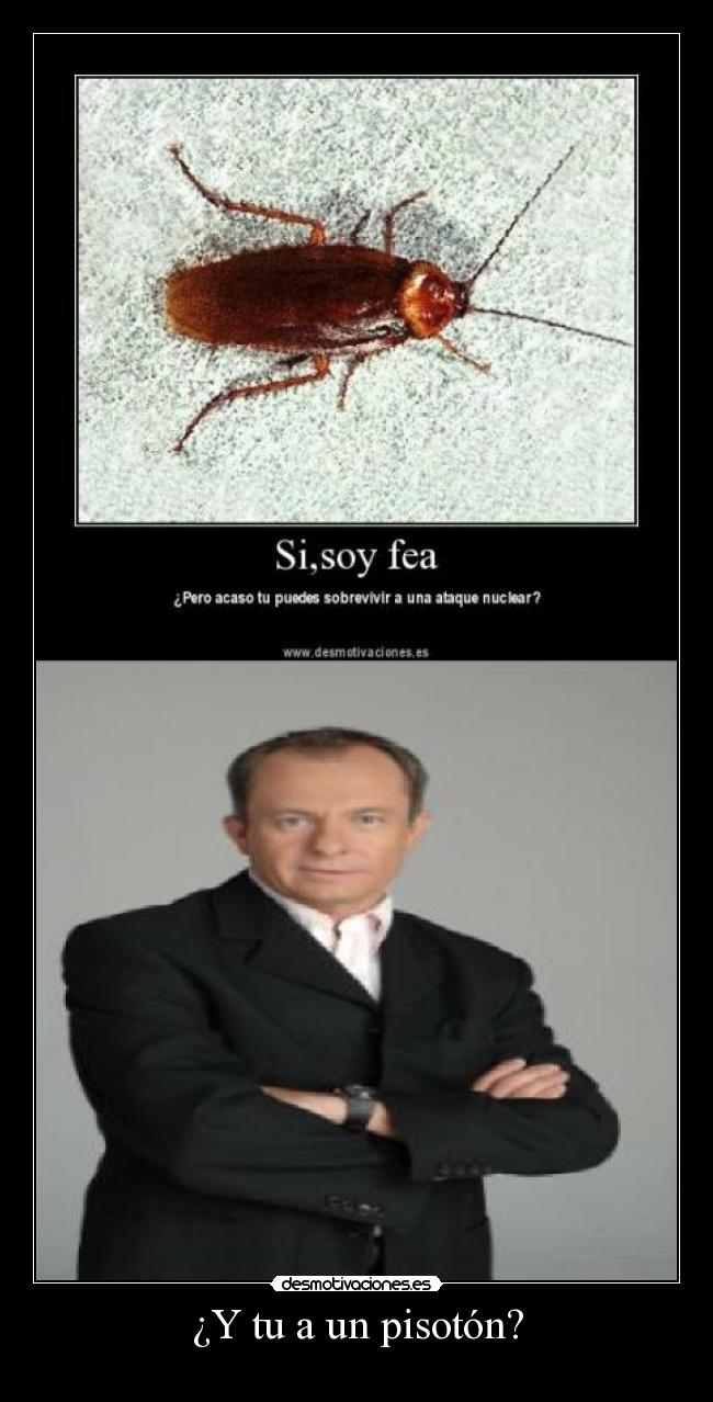 carteles cucaracha hombre desmotivaciones