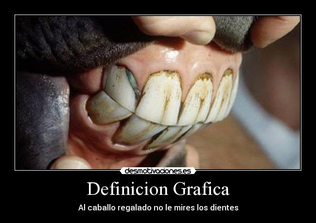 Definicion Grafica - Al caballo regalado no le mires los dientes