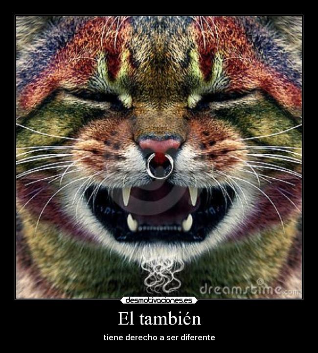 El también - tiene derecho a ser diferente