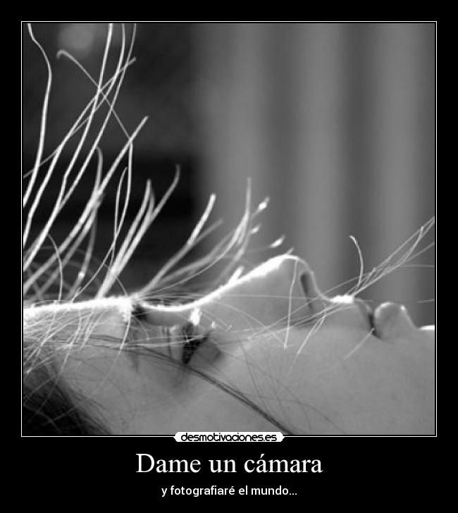 carteles fotografia mundo camara desmotivaciones