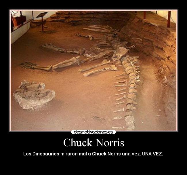 carteles chuck norris dinosaurios desmotivaciones