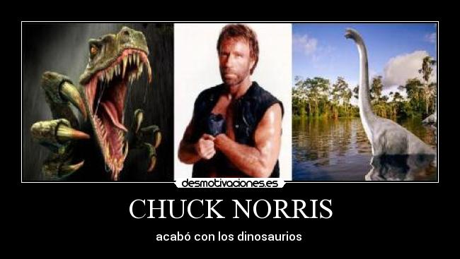 CHUCK NORRIS - acabó con los dinosaurios 