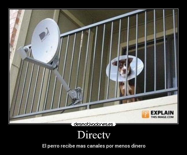 Directv - El perro recibe mas canales por menos dinero