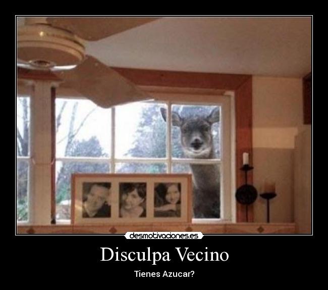 Disculpa Vecino - Tienes Azucar?