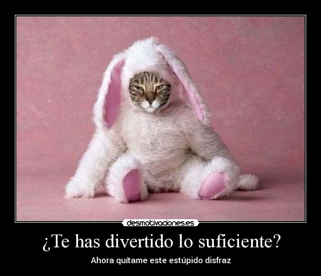 ¿Te has divertido lo suficiente? - Ahora quítame este estúpido disfraz