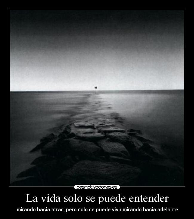 La vida solo se puede entender - 