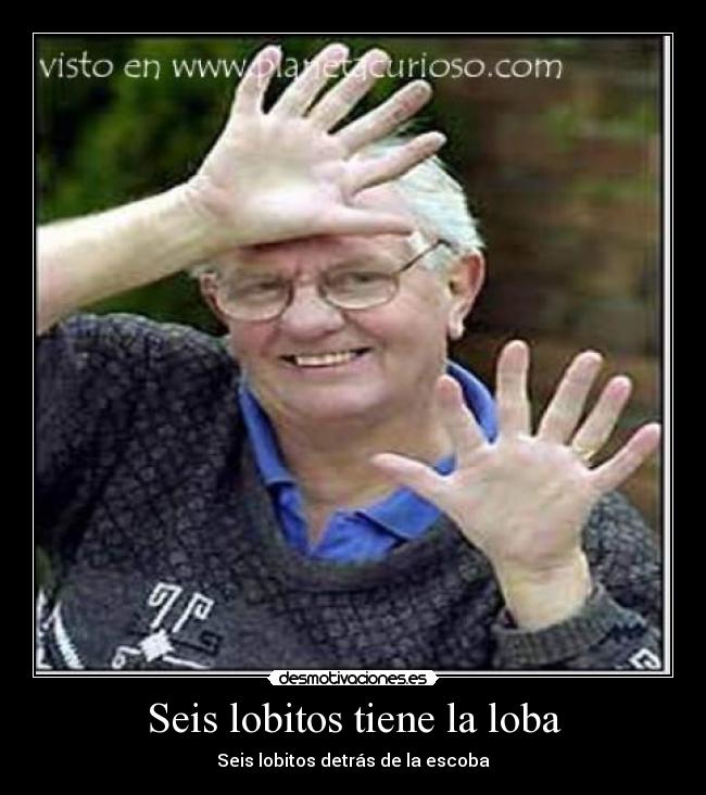 Seis lobitos tiene la loba - Seis lobitos detrás de la escoba