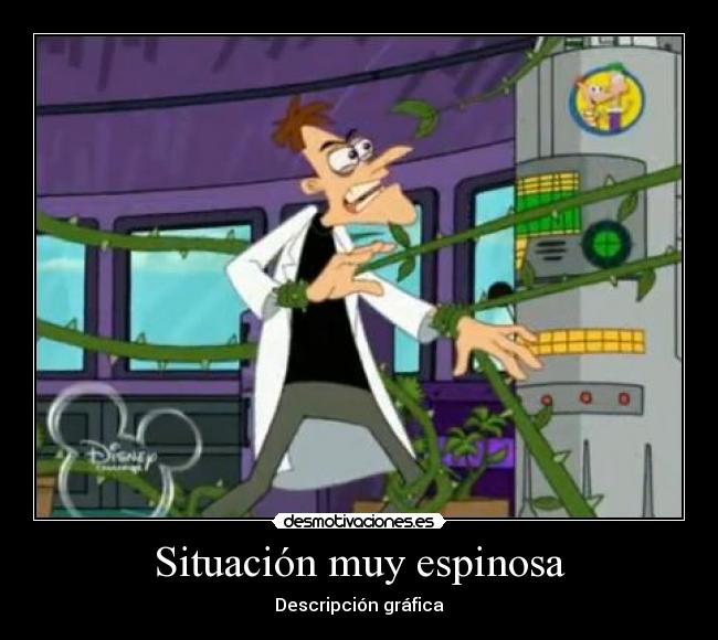 Situación muy espinosa - Descripción gráfica