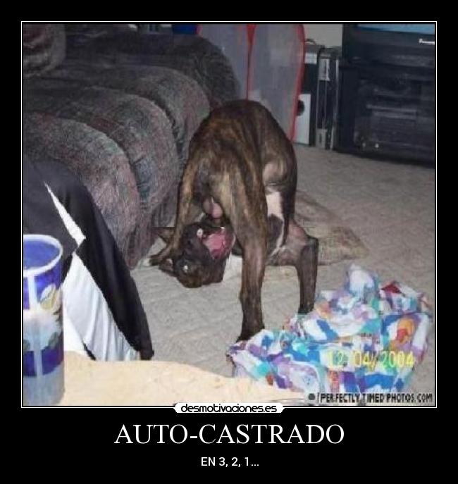 AUTO-CASTRADO - EN 3, 2, 1...