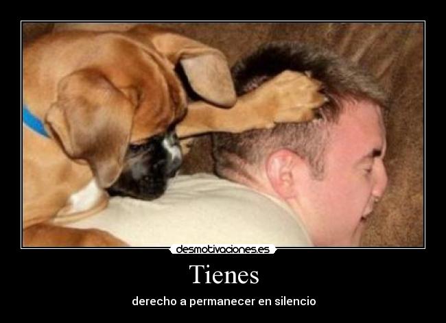 Tienes -