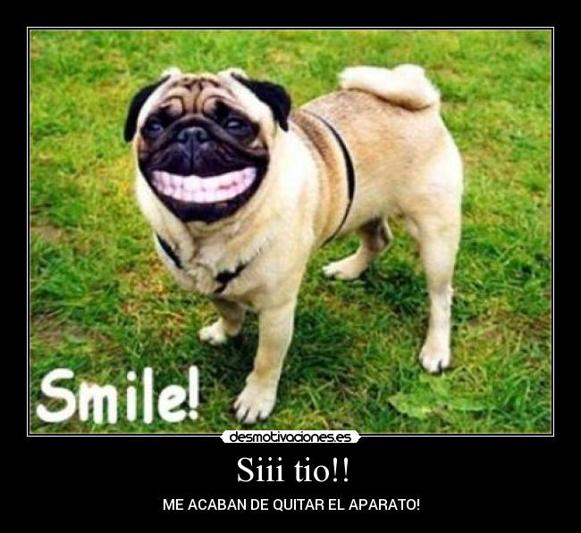 carteles perro desmotivaciones