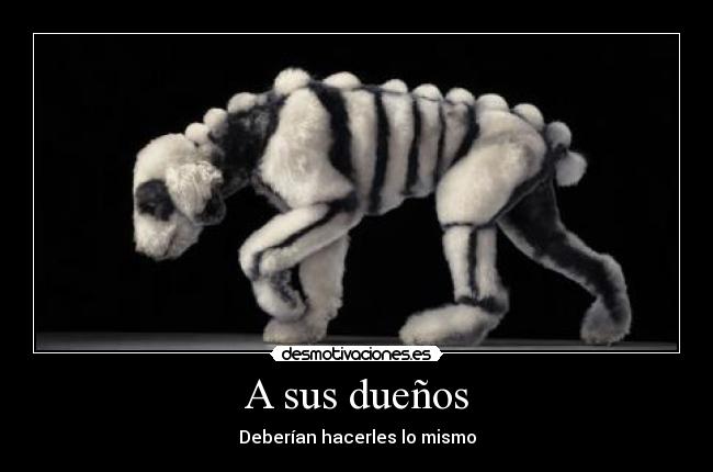 A sus dueños - Deberían hacerles lo mismo