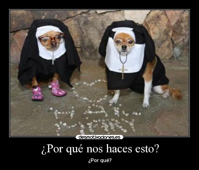 ¿Por qué nos haces esto? - ¿Por qué?