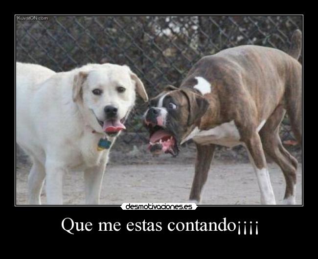 Que me estas contando¡¡¡¡ -