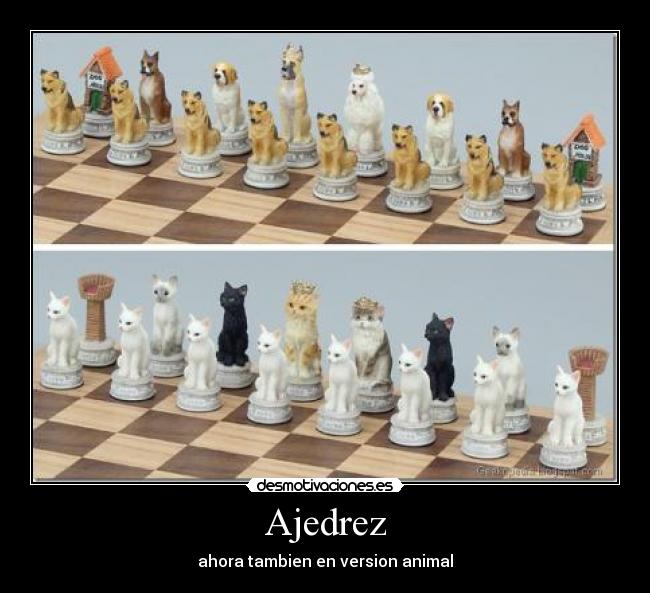 Ajedrez - ahora tambien en version animal