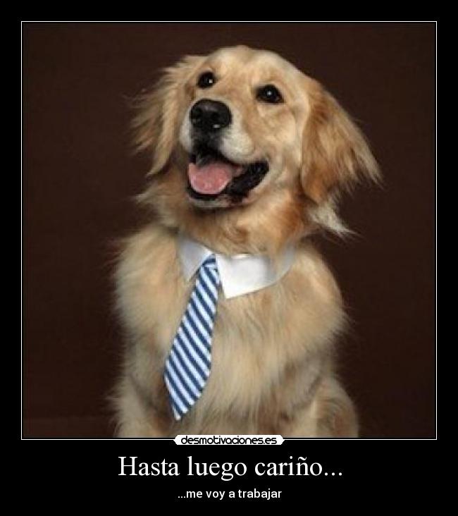 Hasta luego cariño... - ...me voy a trabajar