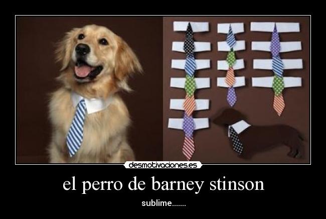 el perro de barney stinson - 