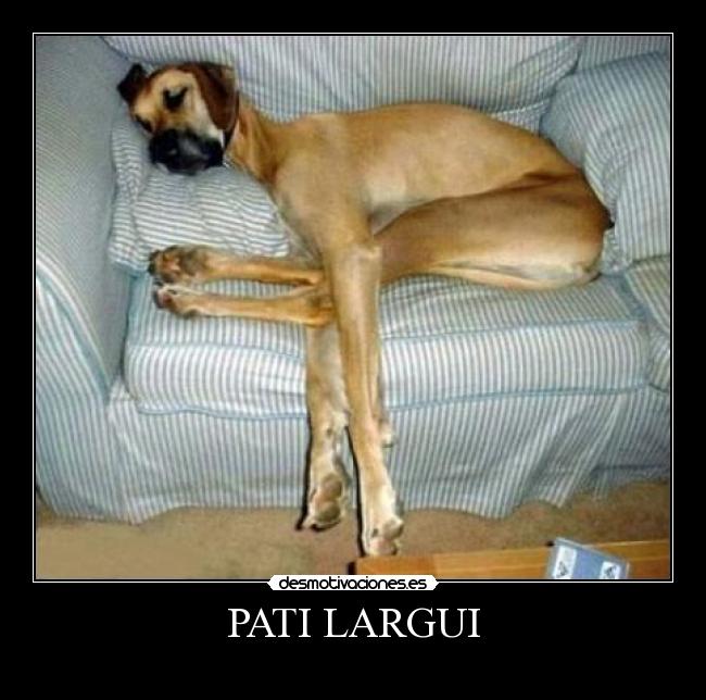 PATI LARGUI -