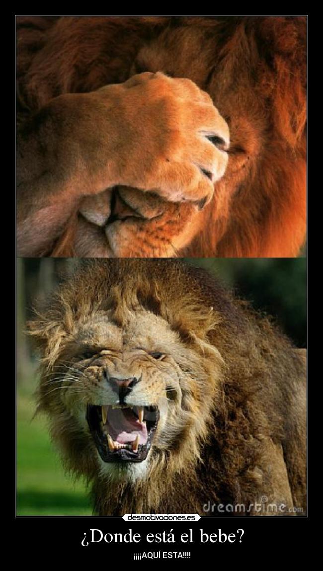¿Donde está el bebe? -
