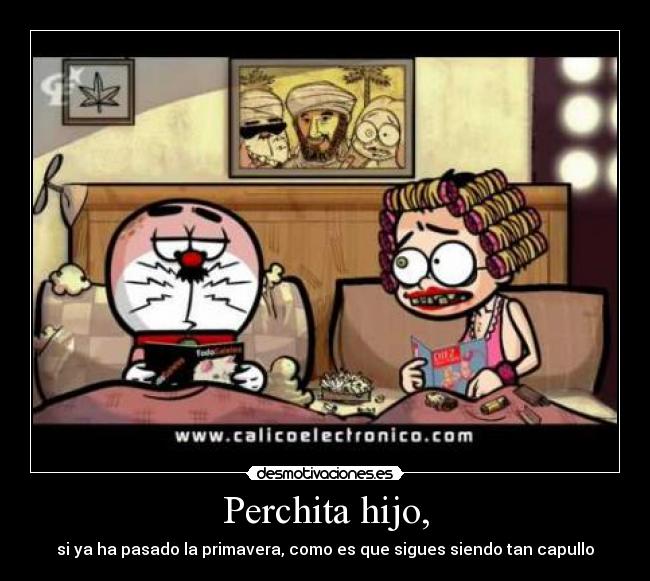 Perchita hijo, -