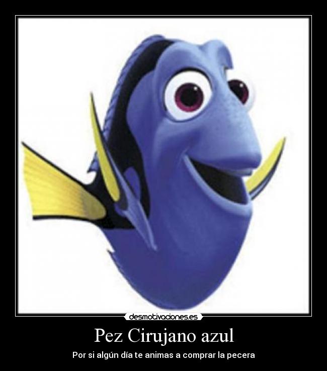 carteles nemo pez pecera dori desmotivaciones