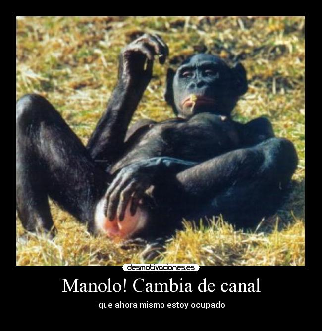 Manolo! Cambia de canal - que ahora mismo estoy ocupado
