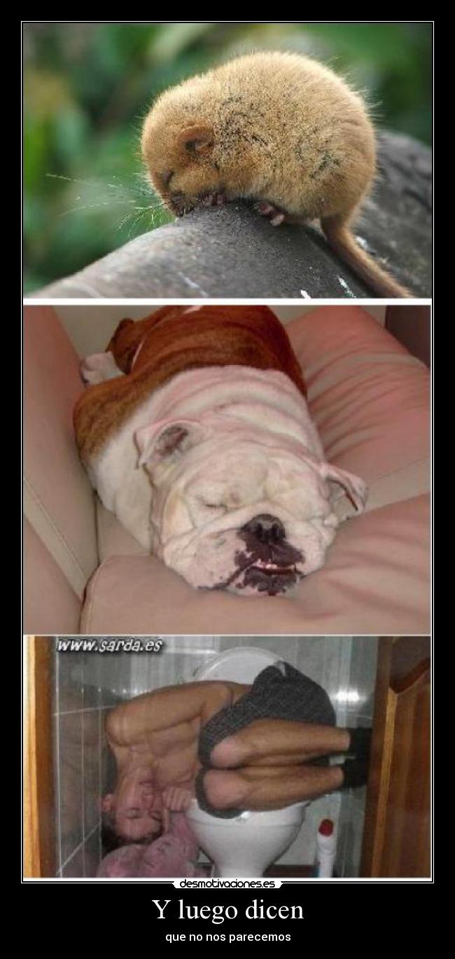 Y luego dicen - que no nos parecemos