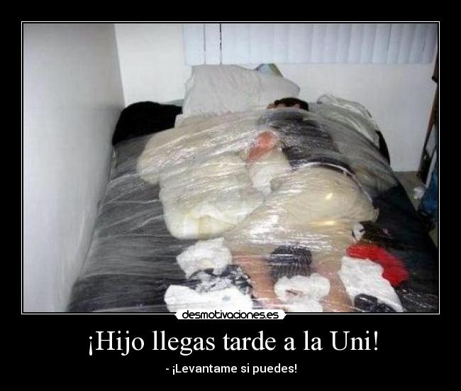 ¡Hijo llegas tarde a la Uni! - - ¡Levantame si puedes!