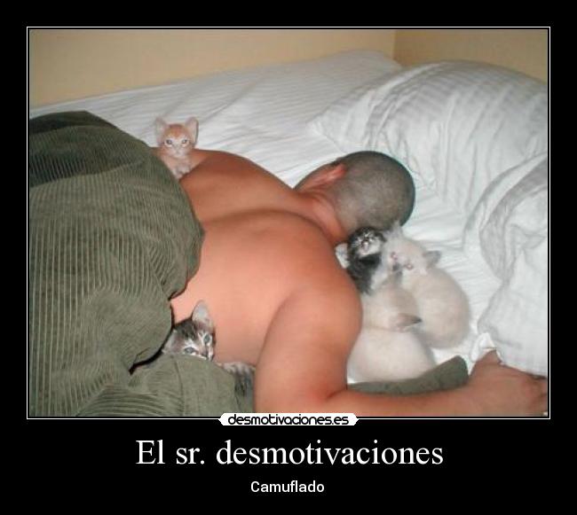 El sr. desmotivaciones - 