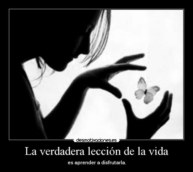 La verdadera lección de la vida - es aprender a disfrutarla.