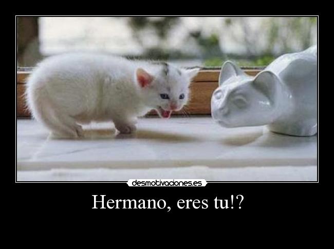 carteles lol desmotivaciones