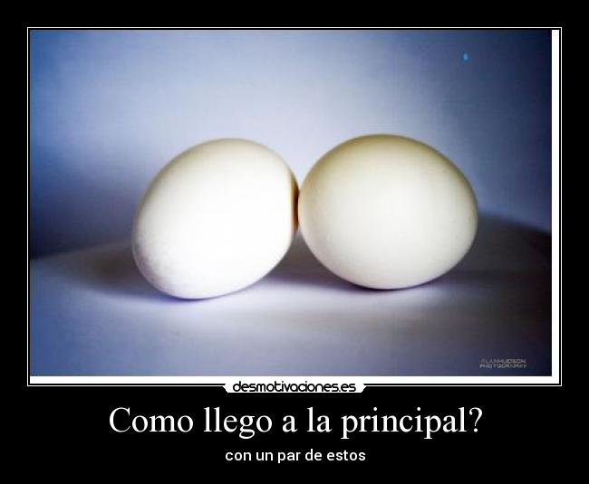 Como llego a la principal? -