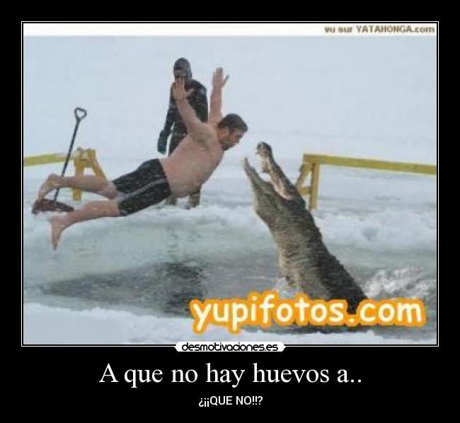 A que no hay huevos a.. - ¿¡¡QUE NO!!?