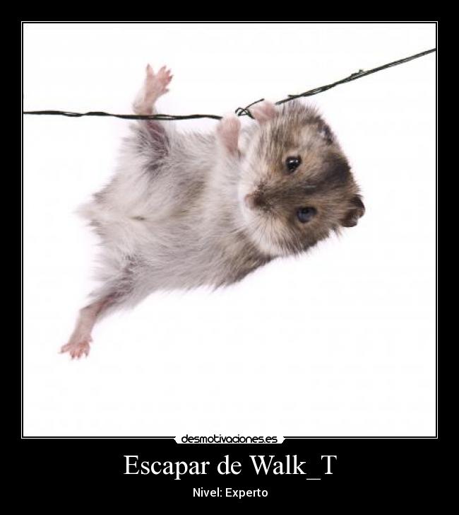 Escapar de Walk_T - Nivel: Experto