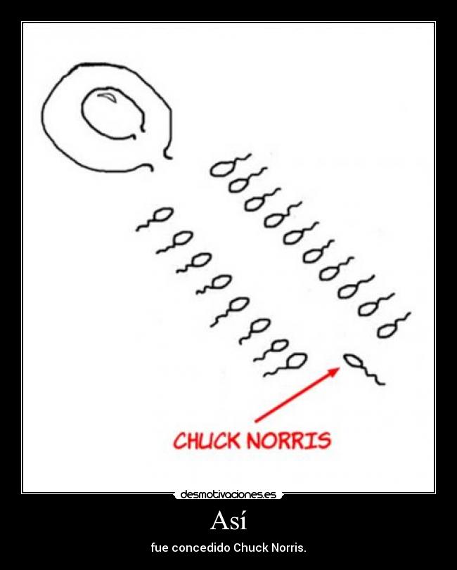 Así - fue concedido Chuck Norris.