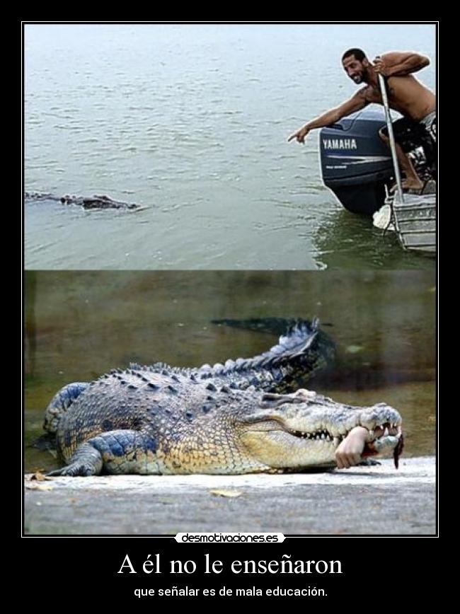 A él no le enseñaron - 