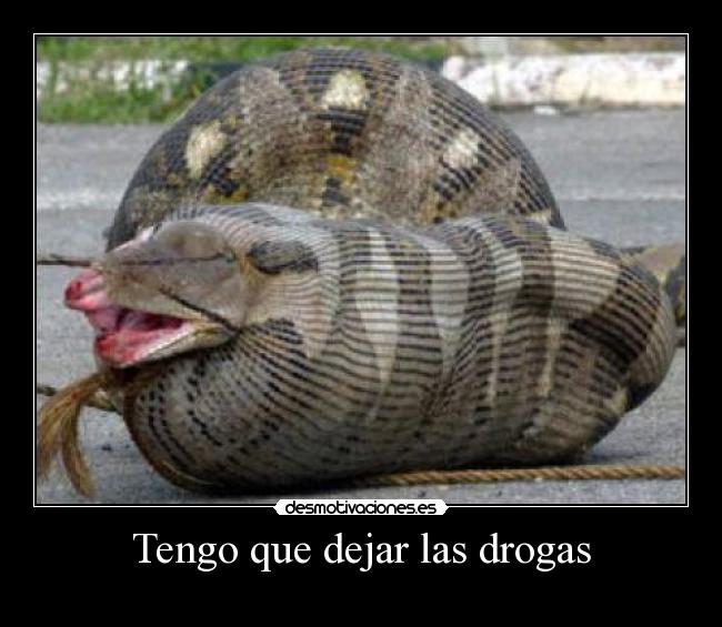 Tengo que dejar las drogas - 