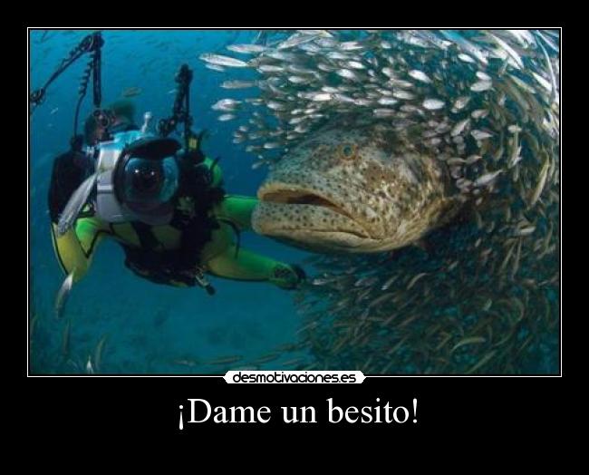 ¡Dame un besito! - 