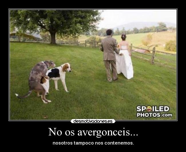 No os avergonceis... -