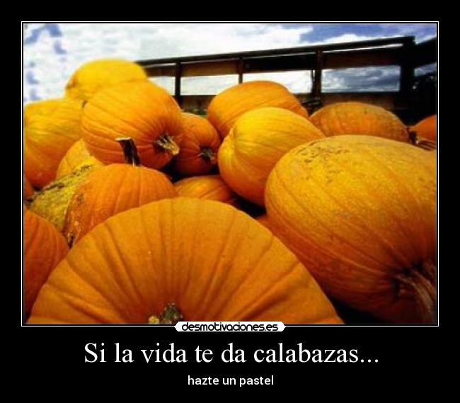 carteles vida mmm desmotivaciones